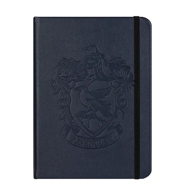 Harry Potter Accessory