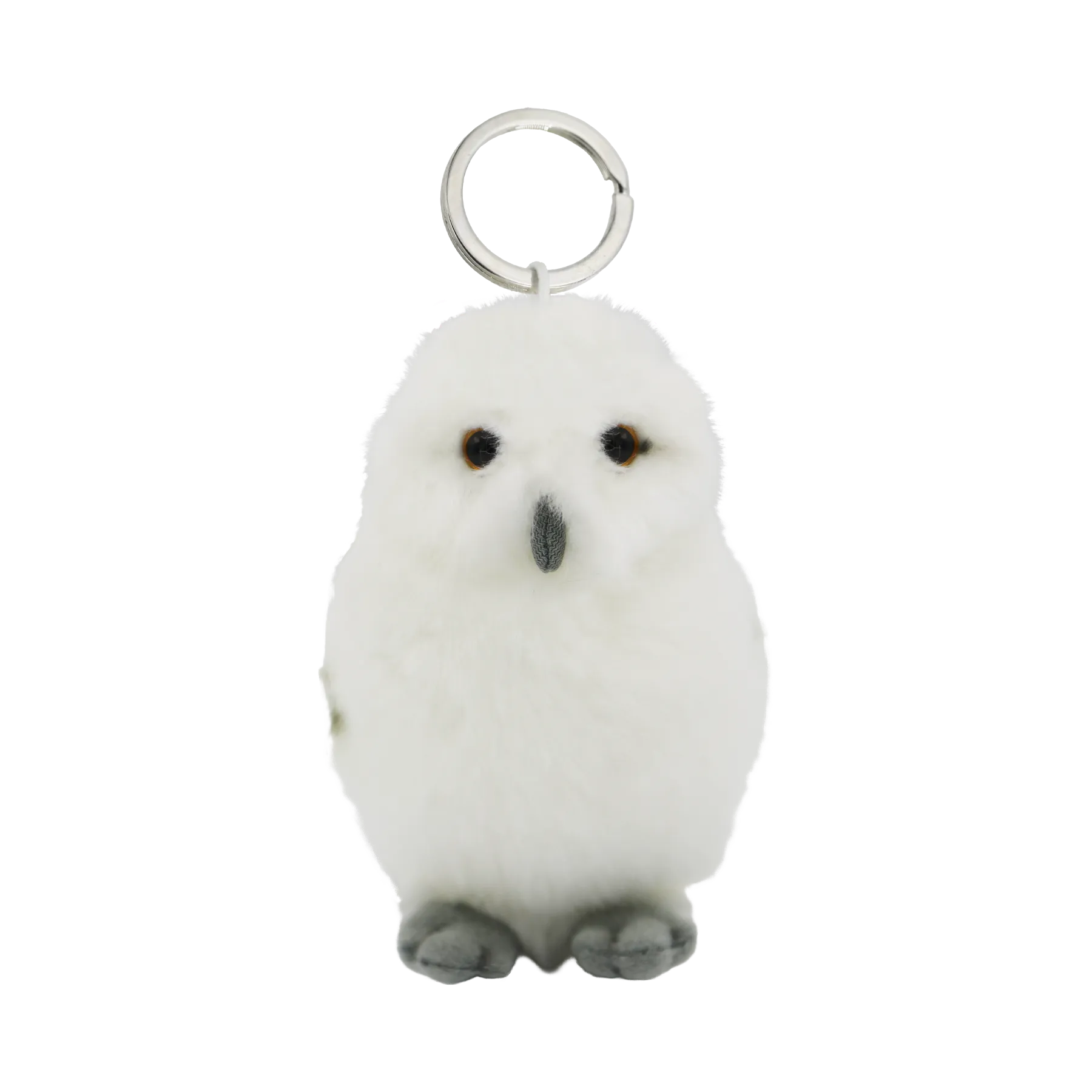 Hedwig Keycha In Us